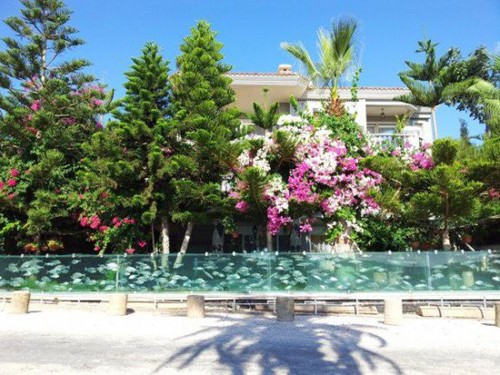 Đại gia dùng bể cá, bạch tuộc làm hàng rào quanh nhà - ảnh 4