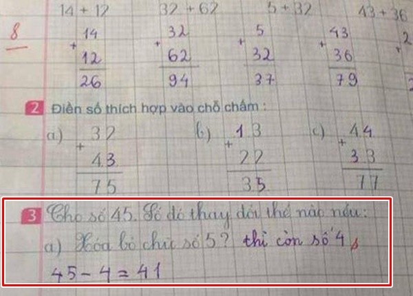 Đau đầu tranh cãi với những 'đề toán một đằng, đáp án một nẻo' - ảnh 6