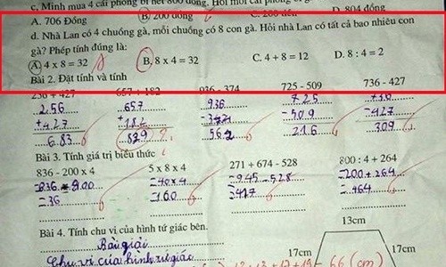 Tranh cãi nảy lửa về bài toán tìm x của học sinh tiểu học - ảnh 5