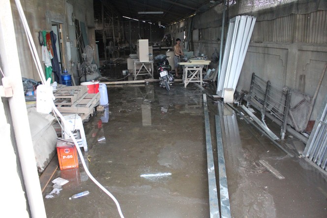 Lo thắt ruột vì hàng nghìn gốc mai Tết chìm trong nước - ảnh 4