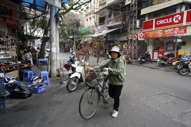 Tết về theo những chuyến xe chở đào đi rong trên phố - ảnh 11