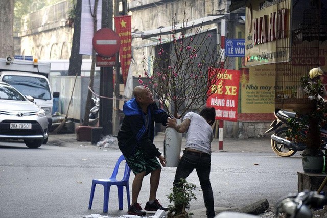 Tết về theo những chuyến xe chở đào đi rong trên phố - ảnh 12