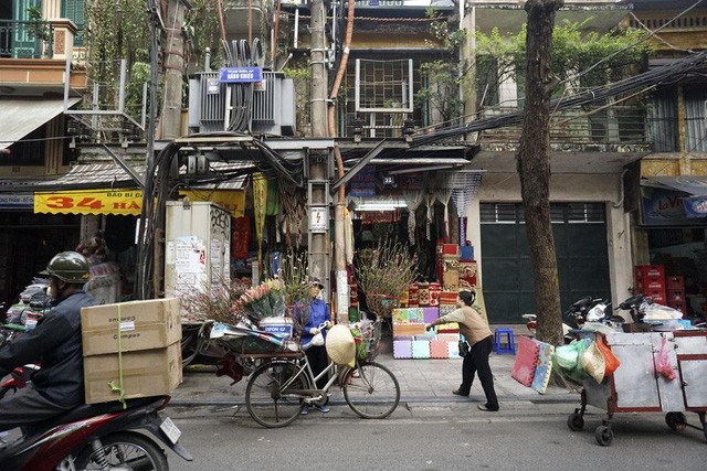 Tết về theo những chuyến xe chở đào đi rong trên phố - ảnh 13
