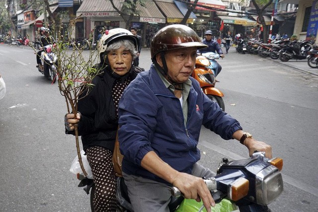 Tết về theo những chuyến xe chở đào đi rong trên phố - ảnh 3