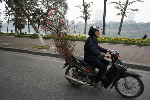 Tết về theo những chuyến xe chở đào đi rong trên phố - ảnh 4
