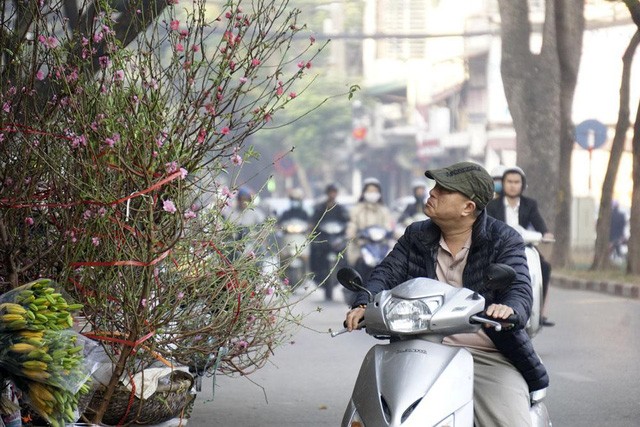 Tết về theo những chuyến xe chở đào đi rong trên phố - ảnh 5