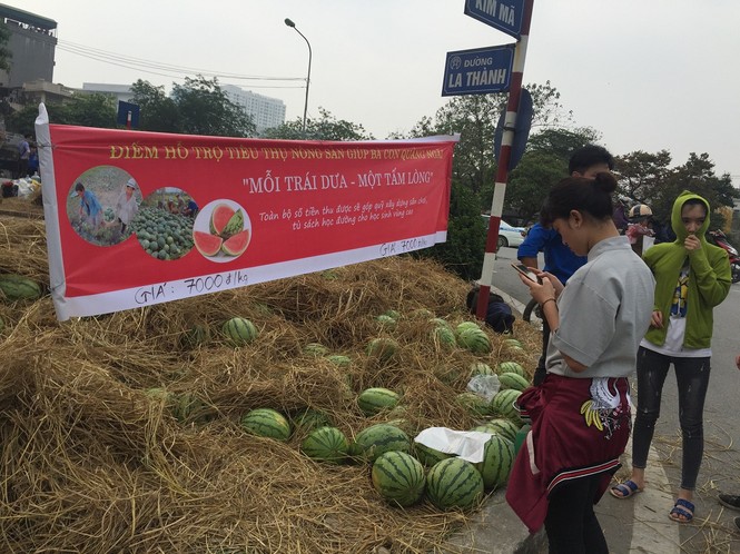 Bán hết 20 tấn dưa ủng hộ người dân Quảng Ngãi trong sáng 3/4 - ảnh 1