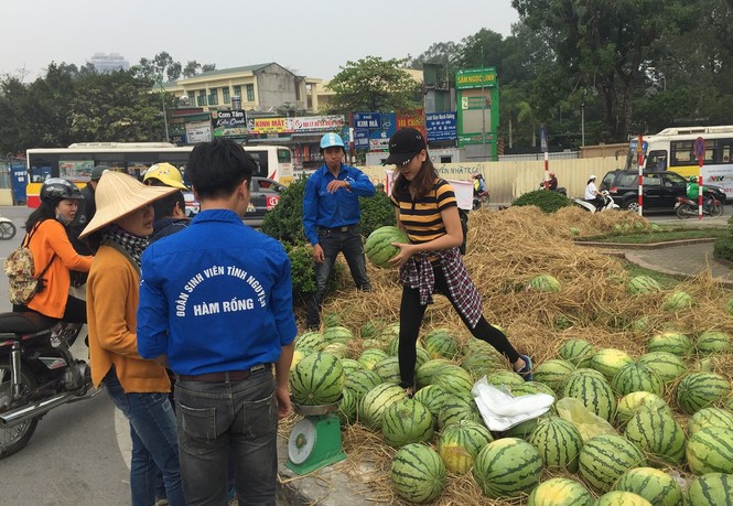Bán hết 20 tấn dưa ủng hộ người dân Quảng Ngãi trong sáng 3/4 - ảnh 5