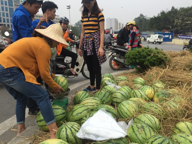 Bán hết 20 tấn dưa ủng hộ người dân Quảng Ngãi trong sáng 3/4 - ảnh 6