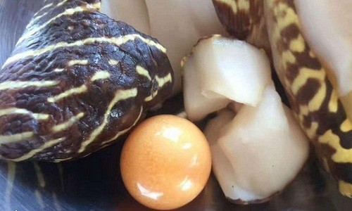 Viên ngọc to bằng đồng xu trong bụng ốc xà cừ ở Trung Quốc - ảnh 1