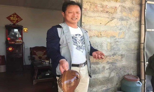 Viên ngọc to bằng đồng xu trong bụng ốc xà cừ ở Trung Quốc - ảnh 2