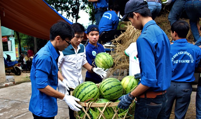 Sinh viên TP. HCM bán dưa hấu giúp nông dân Quảng Ngãi - ảnh 9