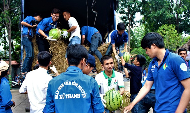 Sinh viên TP. HCM bán dưa hấu giúp nông dân Quảng Ngãi - ảnh 4