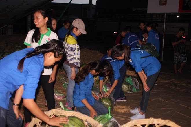 Sinh viên TP. HCM bán dưa hấu giúp nông dân Quảng Ngãi - ảnh 7