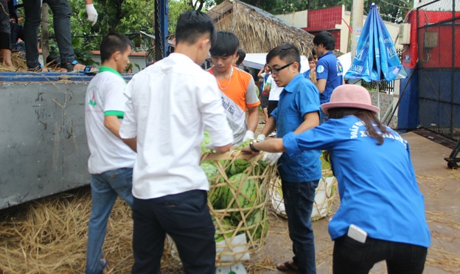 Sinh viên TP. HCM bán dưa hấu giúp nông dân Quảng Ngãi - ảnh 8