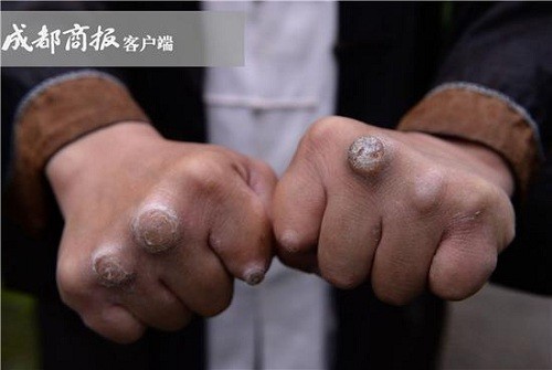 Chưởng môn phái Thanh Thành muốn thanh lọc võ lâm Trung Quốc - ảnh 2
