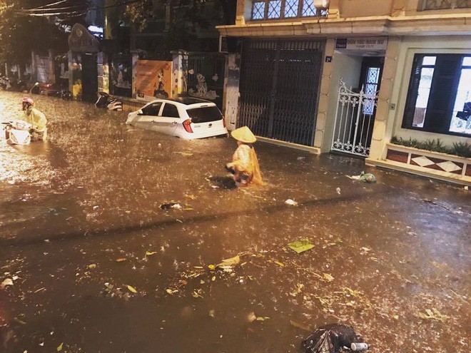 Đường phố Hà Nội ngập trong biển nước sau cơn mưa lớn - ảnh 8