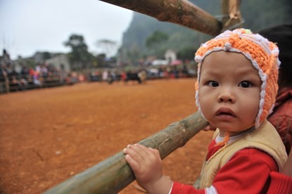 Hội chọi dê có một không hai dịp đầu năm - ảnh 4
