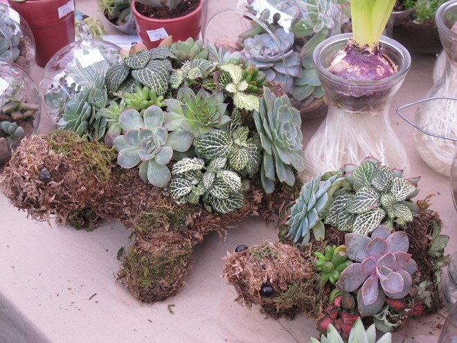 Mê mẩn với chợ phiên đồ xưa giữa lòng Hà Nội - ảnh 5