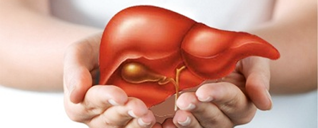 Vì sao người gầy vẫn bị gan nhiễm mỡ? - ảnh 1