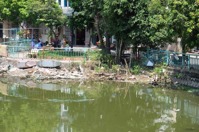 hồ tây, hà nội, ô nhiễm, cá chết - ảnh 1