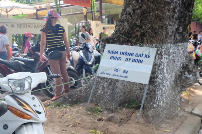 hội sách 2016, hội sách hà nội, văn hóa đọc, trông giữ xe, trông xe, chặt chém - ảnh 2