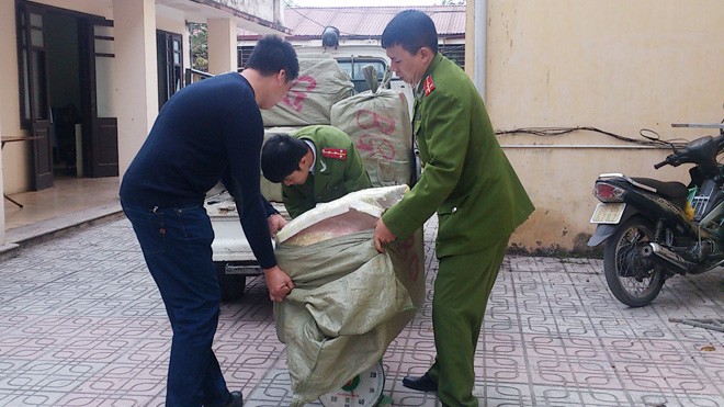 Hà Nội: Bắt số lượng lớn nầm lợn thối - ảnh 2