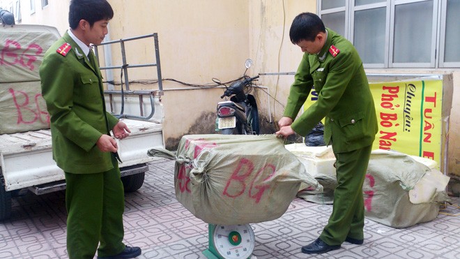 Hà Nội: Bắt số lượng lớn nầm lợn thối - ảnh 3