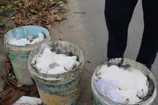 Cá chết trắng kênh ở Đà Nẵng - ảnh 2