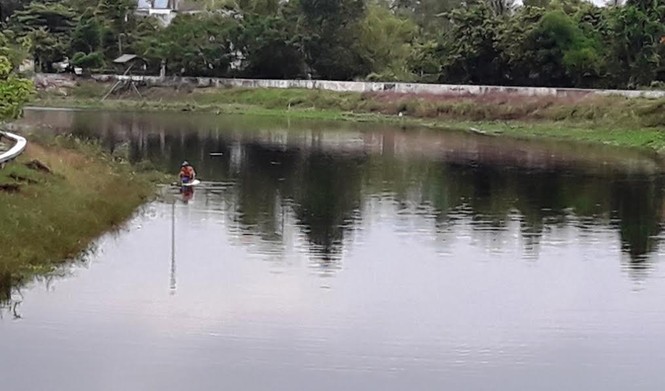 TT-Huế: Cá chết bất thường trên các sông ở Quảng Điền - ảnh 1