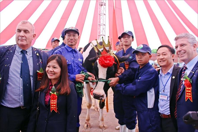 Ông chủ “Hoa hậu” nặng 740kg ẵm hàng chục triệu tiền thưởng - ảnh 2