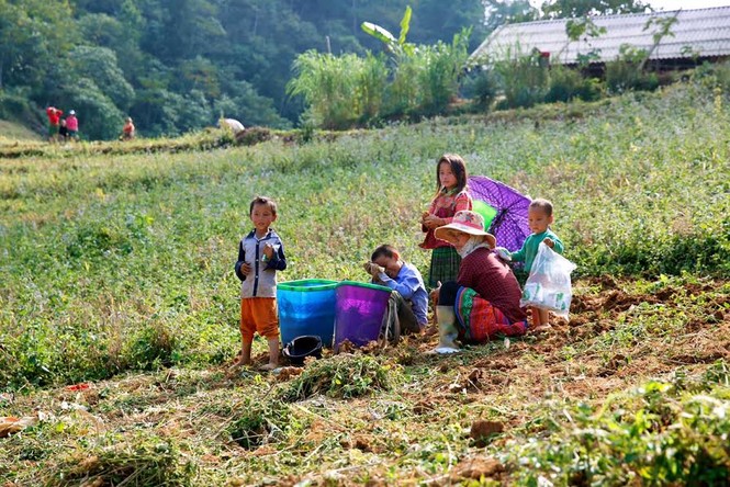 Ngỡ ngàng với vẻ đẹp cổ tích của 'nàng thơ' Xín Mần - ảnh 5
