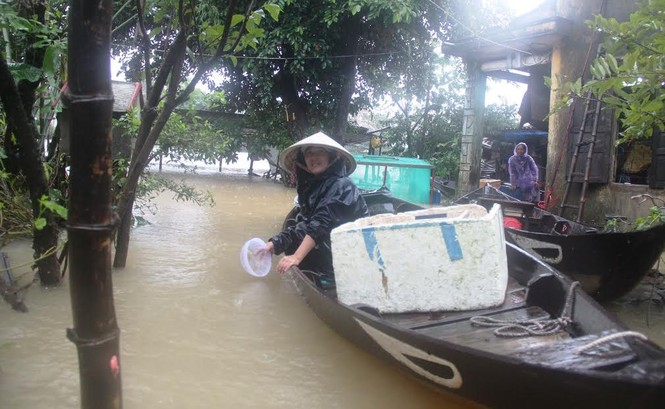 Quảng Nam: Người dân chạy đua với nước lũ - ảnh 3