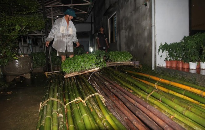 Quảng Nam: Người dân chạy đua với nước lũ - ảnh 6
