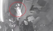 Xem bóng đá quên khóa cửa trong, trộm đột nhập cuỗm liền 3 xe máy