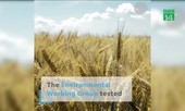 Hóa chất thuốc diệt cỏ Monsanto có trong ngũ cốc nguy hiểm thế nào?