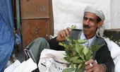 Những người Yemen chỉ ăn lá cây để tồn tại