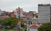 Giải cứu nam thanh niên cố thủ trên cột điện ở Hà Nội