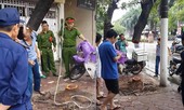 Nghi vấn cây sưa bị kẻ gian cưa trộm trong đêm ở Hà Nội