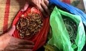 Kẻ cầm đầu nhóm đối tượng phá két trộm 200 cây vàng là ai?