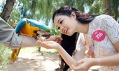 Người đẹp HHVN thử cảm giác mạnh với thú cưng 'khủng'
