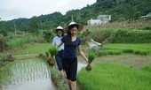 ‘Một người đẹp cần cả trái tim và trí tuệ tỏa sáng’