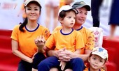 Showbiz 19/11: Thực hư tin đồn Hồng Nhung bị giật chồng dẫn đến ly hôn
