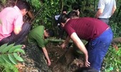 Những lần tìm thấy 'kho báu vàng' của nhà ngoại cảm tự phong