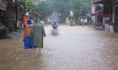 'Thủ phủ' na ở Lạng Sơn chìm trong biển nước