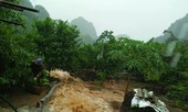 Hái na nguy hiểm trong mưa lũ