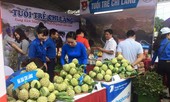 Na 'khủng' hút khách tại lễ hội Chi Lăng