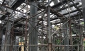 Vụ phá đình 300 tuổi: Sở Văn hoá yêu cầu phương án 'cứu vãn' tối ưu