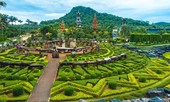 Khách Việt đổ về thiên đường xanh Nong Nooch vì sao?