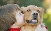 Cẩn trọng thú nuôi gây tai nạn thương tích, thậm chí khiến trẻ tử vong
